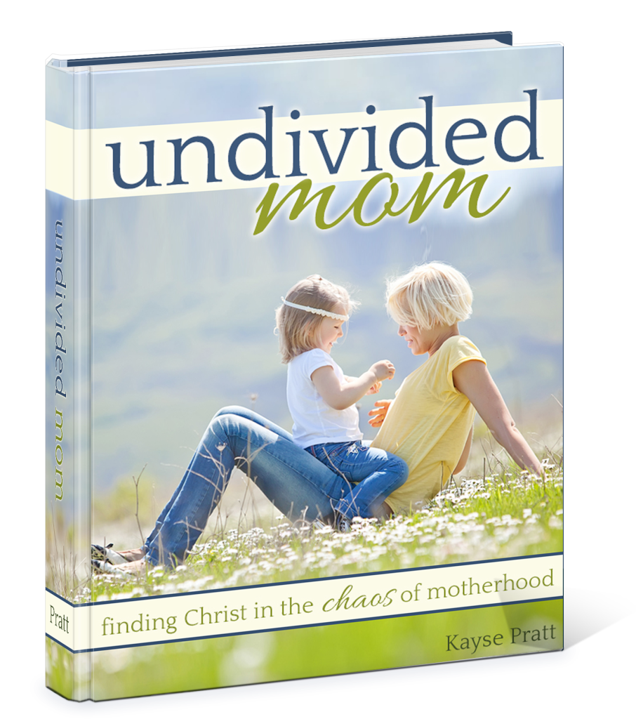 Undivided_Mom3D