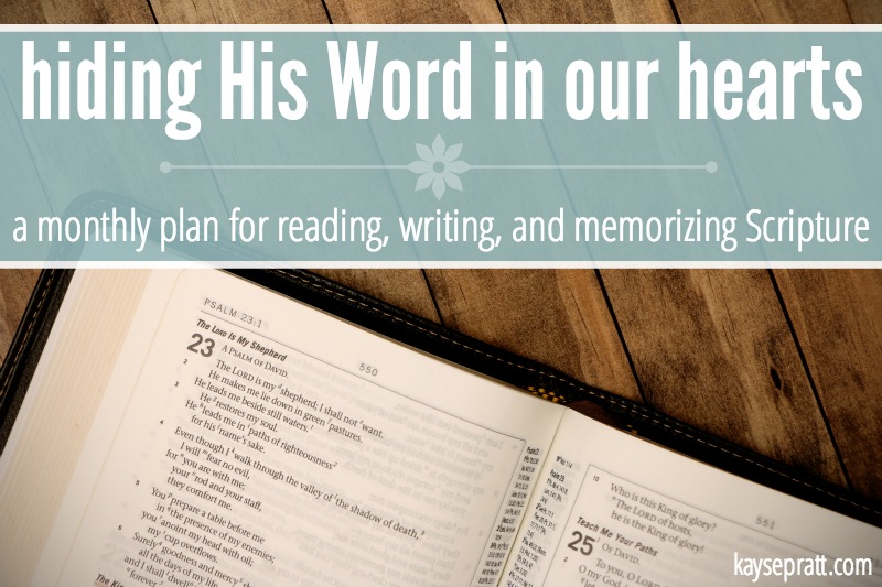 February Bible Reading & Writing Plan!