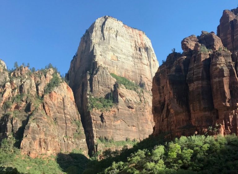 What (not) to do when you’re afraid.