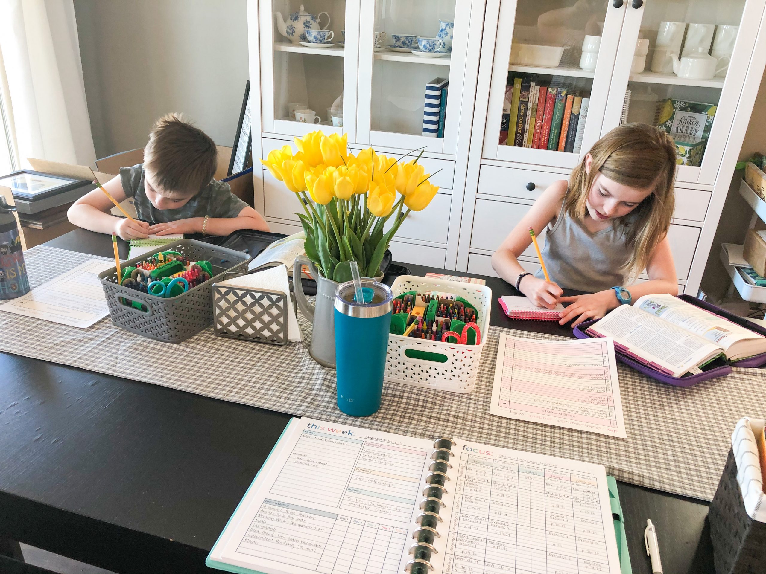 Our Homeschool Curriculum Choices for 2020-2021