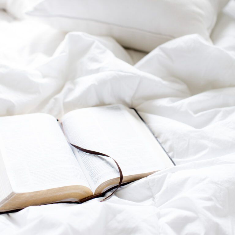 Meet our new AW Bible Studies!