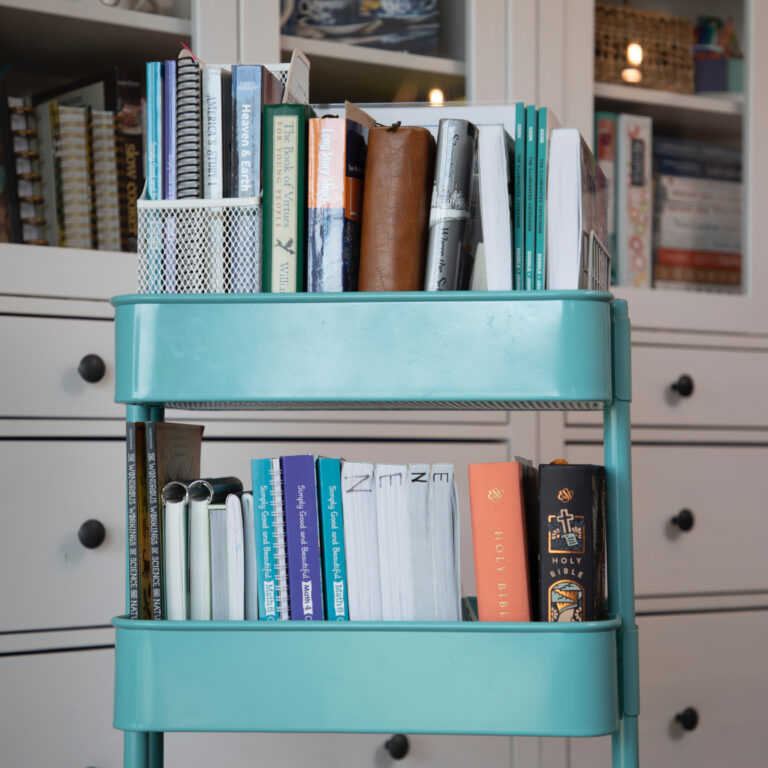 Our Curriculum Choices for the 2023-2024 Homeschool Year