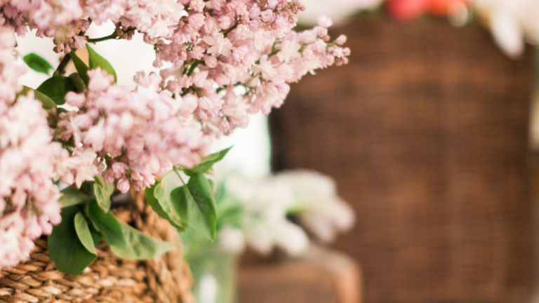 How I plan out my REST every month so I don’t hit burnout!